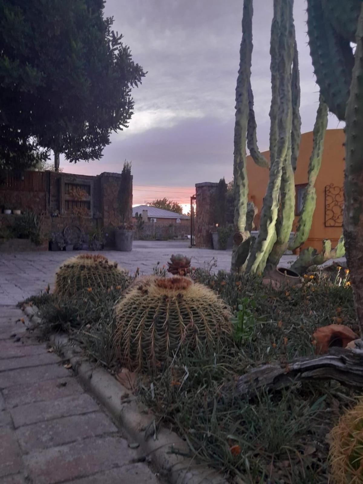 Villa Contessa Beaufort West Εξωτερικό φωτογραφία
