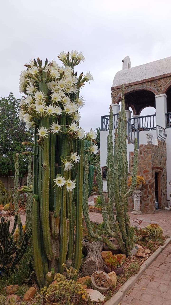 Villa Contessa Beaufort West Εξωτερικό φωτογραφία